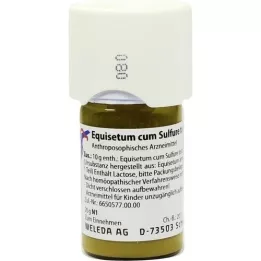 EQUISETUM CUM Sulfure Tostum D 1 Trituration, 20 g