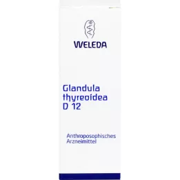 GLANDULA THYREOIDEA D 12 fortynning, 50 ml