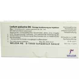 LEDUM PALUSTRE D 6 Ampoules, 8 stk