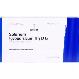 Solanum Lycopersicum RH D6, 8 stk