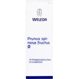 Prunus Spinosa Fructus Natural Tinktur, 50 ml