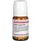 ACTAEA SPIC D 4, 80 stk