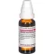 ARUNDO mauritanica D 12 Fortynning, 20 ml