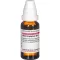 ARUM TRIPHYLLUM D 12 Fortynning, 20 ml