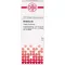 BERBERIS D 5 Fortynning, 20 ml
