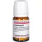 Foeniculum D 2, 80 stk