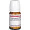 Juniperus Comm D 4, 80 stk