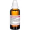 RIBES NIGRUM D 2 Fortynning, 50 ml