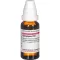 SYMPHYTUM D 10 Fortynning, 20 ml