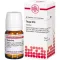 Thuja D15, 80 stk