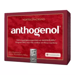 OPC ORIGINAL Masqueliers Anthogenol kapsler, 90 stk
