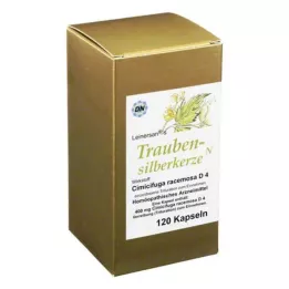 TRAUBENSILBERKERZE Kapseln, 120 stk