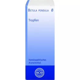 BETULA PENDULA Hanosan mor tinktur, 20 ml