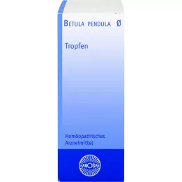 BETULA PENDULA Hanosan mor tinktur, 50 ml