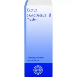 CACTUS GRANDIFLORUS Hanosan mor tinktur, 20 ml