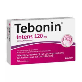 TEBONIN intens 120 mg filmdrasjerte tabletter, 30 stk