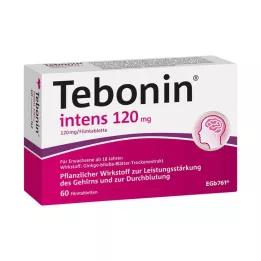 TEBONIN intens 120 mg filmdrasjerte tabletter, 60 stk