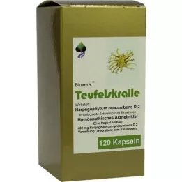 TEUFELSKRALLE Kapseln, 120 stk