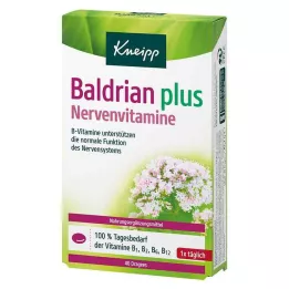 KNEIPP Valerian pluss nervevitaminer dragéer, 40 stk