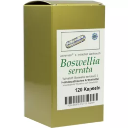 BOSWELLIA SERRATA L.ind.Weihluch kapsler, 120 stk