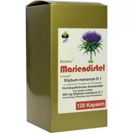MARIENDISTEL BIOXERA Kapseln, 120 stk