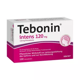 TEBONIN intens 120 mg filmdrasjerte tabletter, 120 stk