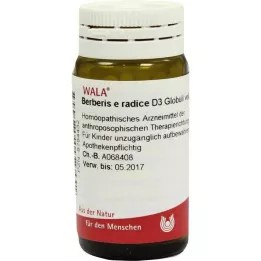 BERBERIS E radise D 3 Globuli, 20 g