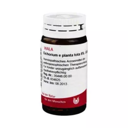 CICHORIUM E planta tota 5 % kuler, 20 g
