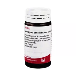 MANDRAGORA OFFICINARIUM e radise D 4 Globuli, 20 g