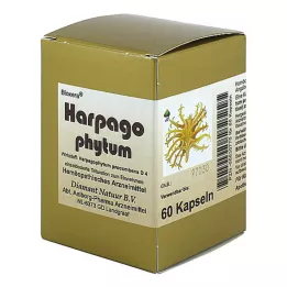 HARPAGOPHYTUM BIOXERA kapsler, 60 stk
