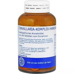 CONVALLARIA KOMPLEX Hanosan tabletter, 100 stk
