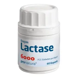 Laktase 6000 FCC kapsler, 60 stk