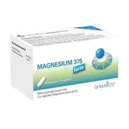 Magnesium 375 Forte Capsules, 60 stk