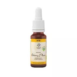 BACHBLÜTEN Nr.6 Kirsebærplomme Økologisk, 20 ml