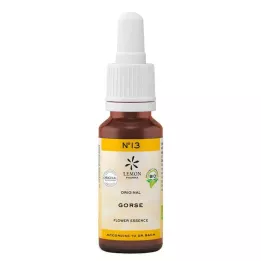 Bach Blossom No. 13 gorse organisk, 20 ml
