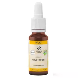 Bach Blossom No. 37 Wild Rose Organic, 20 ml