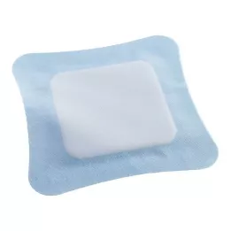 VLIWASORB Pro superabsorberende komp. steril 22x22 cm, 10 stk
