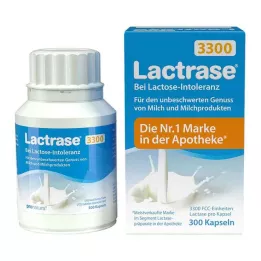 LACTRASE 3300 FCC kapsler, 300 stykker