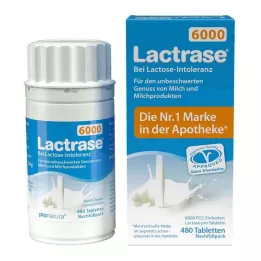 LACTRASE 6000 FCC Tbl.Click dispenser påfyllingspakke, 480 stk