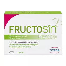 FRUCTOSIN kapsler, 90 stk