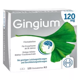 GINGIUM 120 mg filmdrasjerte tabletter, 120 stk