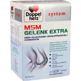 DOPPELHERZ MSM Joint Extra System Capsules, 60 stk