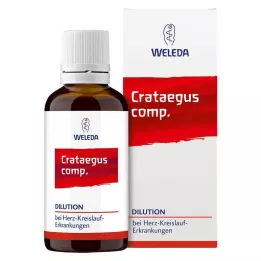 CRATAEGUS COMP.Fortynning, 2X50 ml