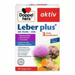 DOPPELHERZ Lever pluss med kolin+sinkkapsler, 30 stk