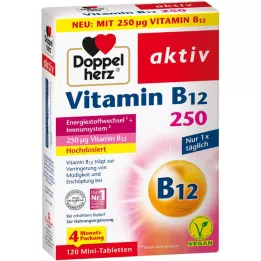 Doppelherz Aktivt vitamin B12 250 μg, 120 stk
