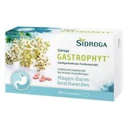 SIDROGA GastroPhyt 250 mg filmdrasjerte tabletter, 30 stk