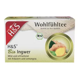 H&amp;S Økologiske ingefærfilterposer, 20X2 g