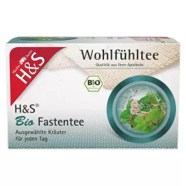 H&amp;S Økologisk fastende tefilterposer, 20X1,5 g