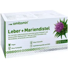 Amitamin melketistel + leverkapsler (120 stykker)