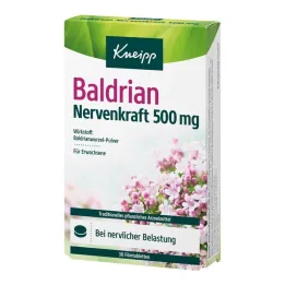 Kneipp Valerian Nerve Power 500 mg filmdrasjerte tabletter, 30 stk